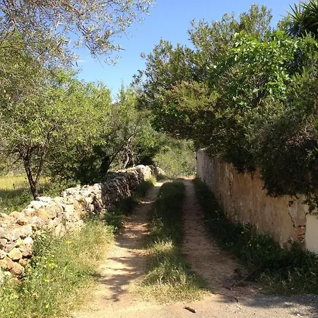 Quinta Do Vale فيلة باديرن