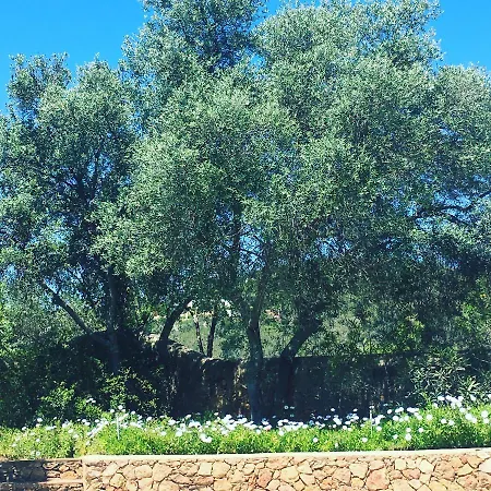 Quinta Do Vale باديرن