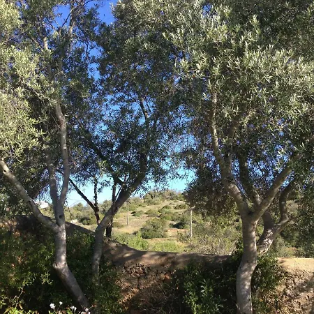 Villa Quinta Do Vale