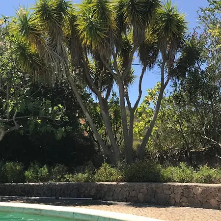 וילה Quinta Do Vale פדרנה